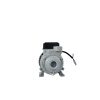 SGT-5701 - PRO - BIVOLT - BOMBA PERIFERICA 1 CV - Image 8